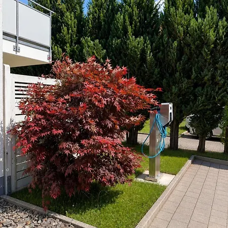 Blackhome Familien-apartment Schwarzwald Mit Balkon Διαμέρισμα