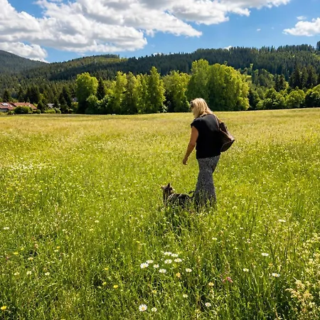 Blackhome Familien-apartment Schwarzwald Mit Balkon *
